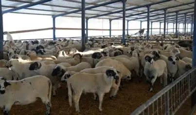 O piață nouă pentru produsele românești a fost oficial deblocată