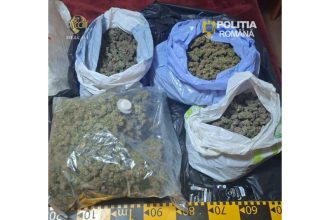 Botoșani devine destinația unei filiere de stupefiante destructurate de DIICOT: c