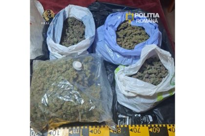 Botoșani devine destinația unei filiere de stupefiante destructurate de DIICOT: c
