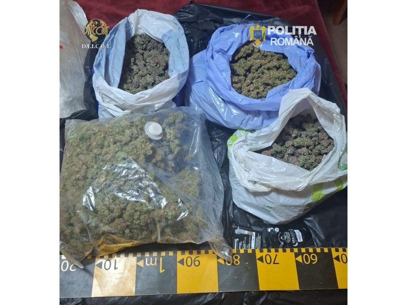 Botoșani devine destinația unei filiere de stupefiante destructurate de DIICOT: c